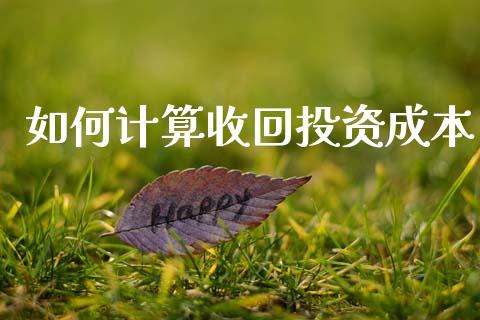 如何计算收回投资成本_https://m.sdyuehang.cn_纳指直播喊单_第1张
