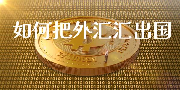 如何把外汇汇出国_https://m.sdyuehang.cn_德指直播室_第1张