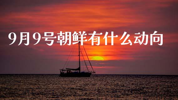 9月9号朝鲜有什么动向_https://m.sdyuehang.cn_纳指直播喊单_第1张