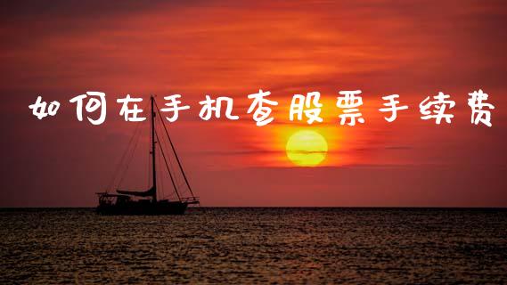 如何在手机查股票手续费_https://m.sdyuehang.cn_德指直播室_第1张