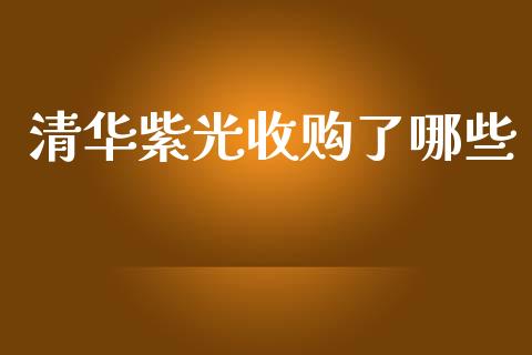 清华紫光收购了哪些_https://m.sdyuehang.cn_恒指直播_第1张