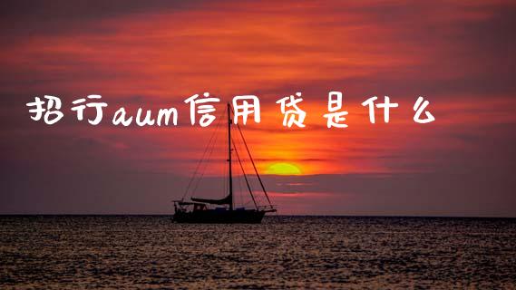 招行aum信用贷是什么_https://m.sdyuehang.cn_德指直播室_第1张