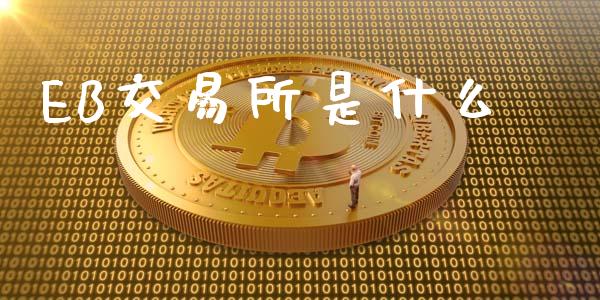 EB交易所是什么_https://m.sdyuehang.cn_纳指直播喊单_第1张