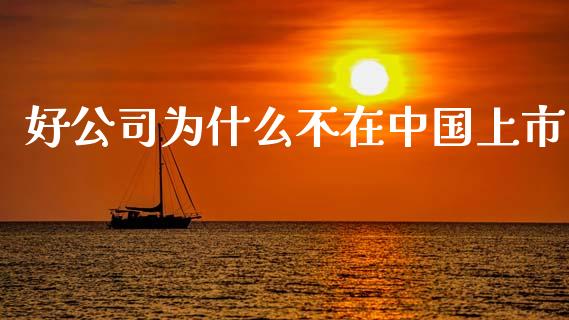 好公司为什么不在中国上市_https://m.sdyuehang.cn_德指直播室_第1张