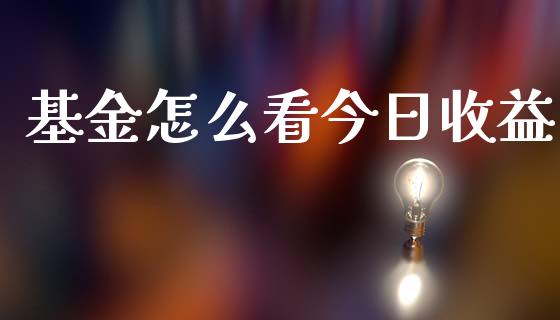 基金怎么看今日收益_https://m.sdyuehang.cn_德指直播室_第1张
