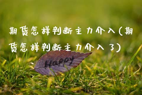 期货怎样判断主力介入(期货怎样判断主力介入了)_https://m.sdyuehang.cn_恒指直播_第1张