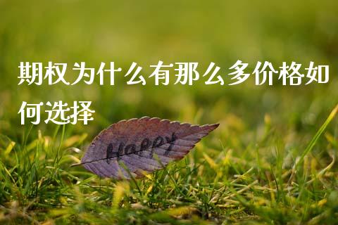 期权为什么有那么多价格如何选择_https://m.sdyuehang.cn_纳指直播喊单_第1张