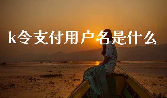 k令支付用户名是什么_https://m.sdyuehang.cn_国际期货恒指直播间_第1张