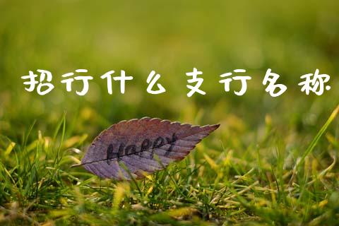 招行什么支行名称_https://m.sdyuehang.cn_恒指直播_第1张