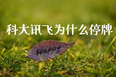 科大讯飞为什么停牌_https://m.sdyuehang.cn_恒指直播_第1张