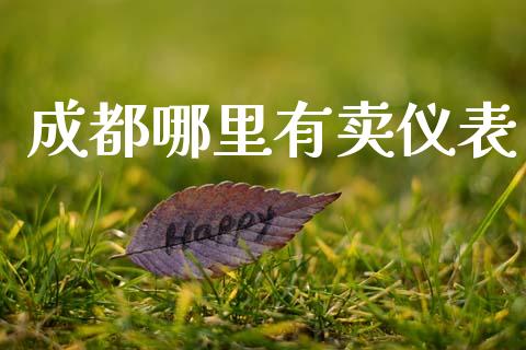 成都哪里有卖仪表_https://m.sdyuehang.cn_恒指直播_第1张
