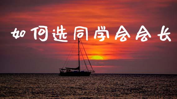如何选同学会会长_https://m.sdyuehang.cn_恒指直播_第1张