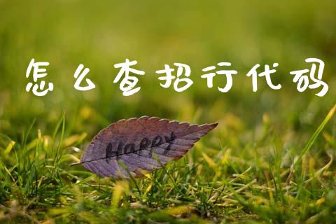 怎么查招行代码_https://m.sdyuehang.cn_纳指直播喊单_第1张