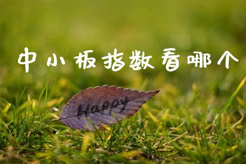 中小板指数看哪个_https://m.sdyuehang.cn_纳指直播喊单_第1张