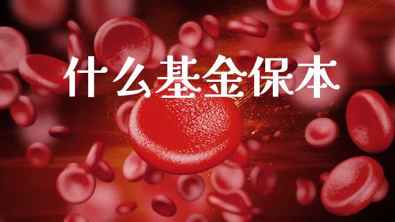 什么基金保本_https://m.sdyuehang.cn_德指直播室_第1张