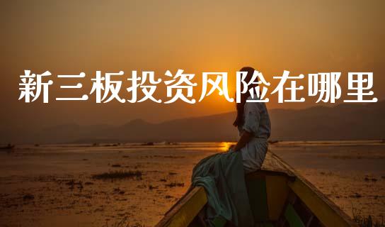新三板投资风险在哪里_https://m.sdyuehang.cn_恒指直播_第1张