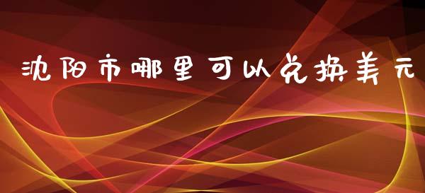 沈阳市哪里可以兑换美元_https://m.sdyuehang.cn_国际期货恒指直播间_第1张