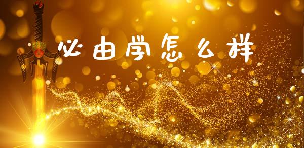必由学怎么样_https://m.sdyuehang.cn_纳指直播喊单_第1张