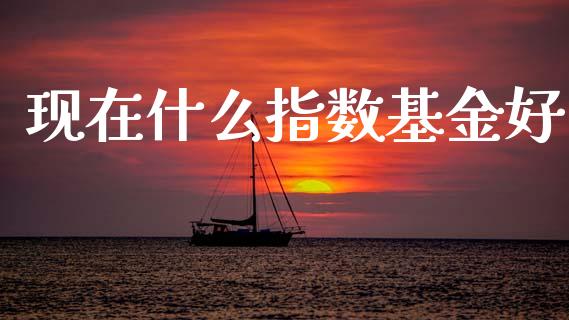 现在什么指数基金好_https://m.sdyuehang.cn_纳指直播喊单_第1张