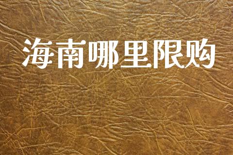 海南哪里限购_https://m.sdyuehang.cn_纳指直播喊单_第1张