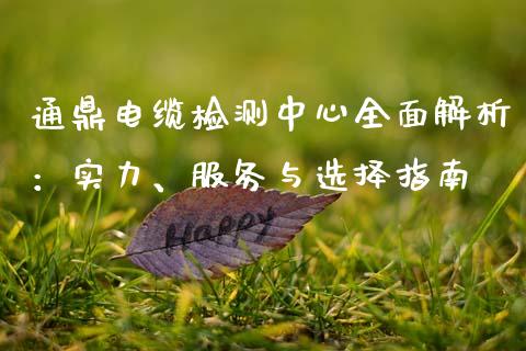 通鼎电缆检测中心全面解析：实力、服务与选择指南_https://m.sdyuehang.cn_国际期货恒指直播间_第1张
