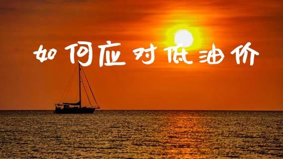 如何应对低油价_https://m.sdyuehang.cn_国际期货恒指直播间_第1张