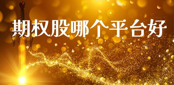 期权股哪个平台好_https://m.sdyuehang.cn_德指直播室_第1张