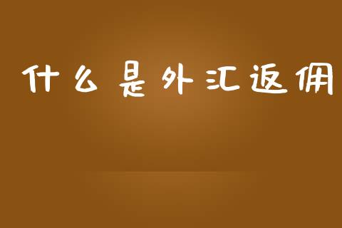什么是外汇返佣_https://m.sdyuehang.cn_国际期货恒指直播间_第1张
