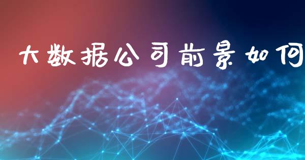 大数据公司前景如何_https://m.sdyuehang.cn_纳指直播喊单_第1张