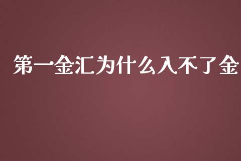 第一金汇为什么入不了金_https://m.sdyuehang.cn_国际期货恒指直播间_第1张