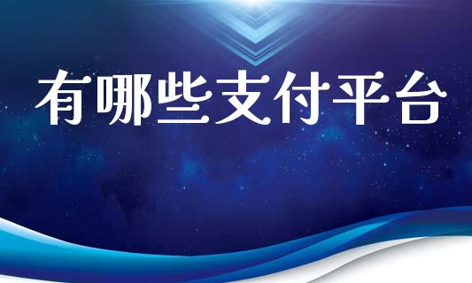 有哪些支付平台_https://m.sdyuehang.cn_纳指直播喊单_第1张