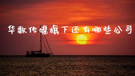 华数传媒旗下还有哪些公司_https://m.sdyuehang.cn_纳指直播喊单_第1张
