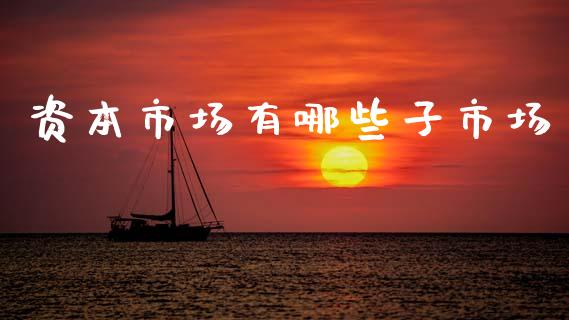 资本市场有哪些子市场_https://m.sdyuehang.cn_德指直播室_第1张