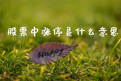 股票中涨停是什么意思_https://m.sdyuehang.cn_国际期货恒指直播间_第1张
