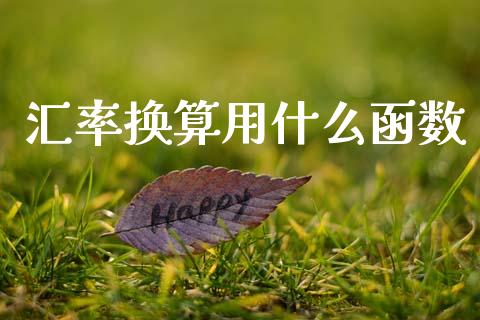 汇率换算用什么函数_https://m.sdyuehang.cn_国际期货恒指直播间_第1张