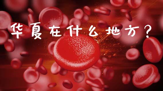 华夏在什么地方？_https://m.sdyuehang.cn_德指直播室_第1张