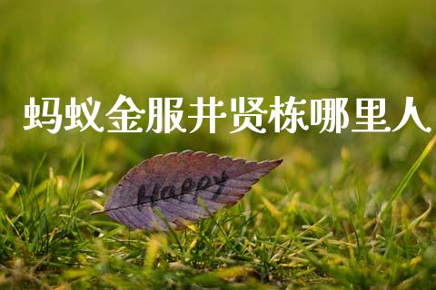 蚂蚁金服井贤栋哪里人_https://m.sdyuehang.cn_纳指直播喊单_第1张