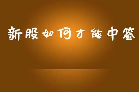 新股如何才能中签_https://m.sdyuehang.cn_纳指直播喊单_第1张