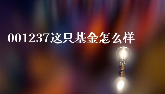 001237这只基金怎么样_https://m.sdyuehang.cn_德指直播室_第1张