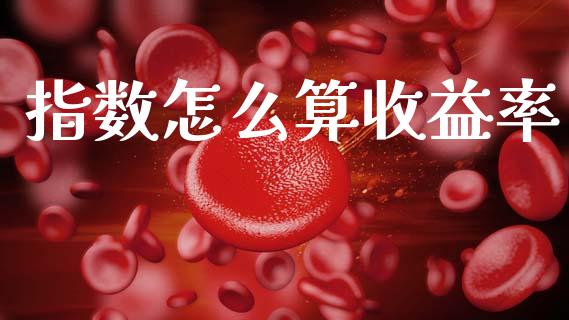 指数怎么算收益率_https://m.sdyuehang.cn_恒指直播_第1张