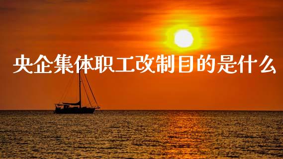 央企集体职工改制目的是什么_https://m.sdyuehang.cn_德指直播室_第1张