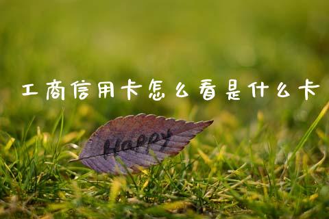 工商信用卡怎么看是什么卡_https://m.sdyuehang.cn_国际期货恒指直播间_第1张