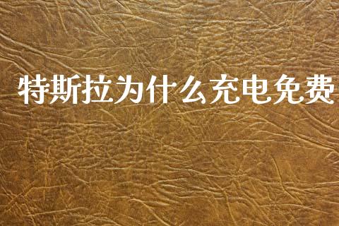 特斯拉为什么充电免费_https://m.sdyuehang.cn_恒指直播_第1张