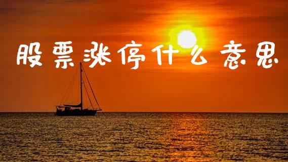 股票涨停什么意思_https://m.sdyuehang.cn_德指直播室_第1张