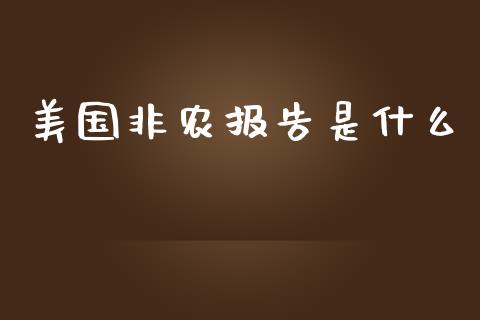 美国非农报告是什么_https://m.sdyuehang.cn_恒指直播_第1张