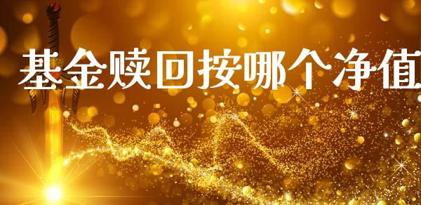 基金赎回按哪个净值_https://m.sdyuehang.cn_国际期货恒指直播间_第1张