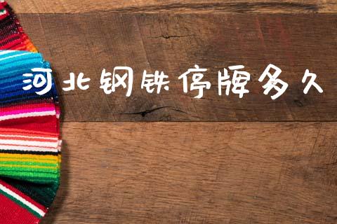河北钢铁停牌多久_https://m.sdyuehang.cn_恒指直播_第1张