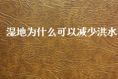 湿地为什么可以减少洪水_https://m.sdyuehang.cn_恒指直播_第1张