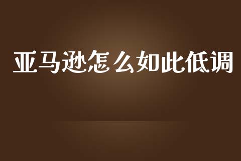 亚马逊怎么如此低调_https://m.sdyuehang.cn_恒指直播_第1张