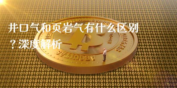 井口气和页岩气有什么区别？深度解析_https://m.sdyuehang.cn_德指直播室_第1张
